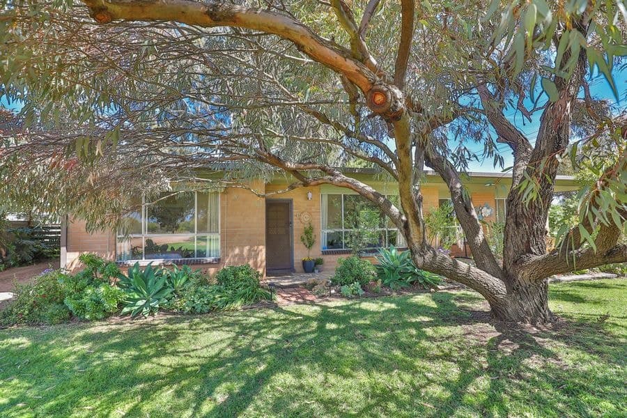 368 Cocklin Avenue, Red Cliffs VIC 3496, Red Cliffs - Image 1