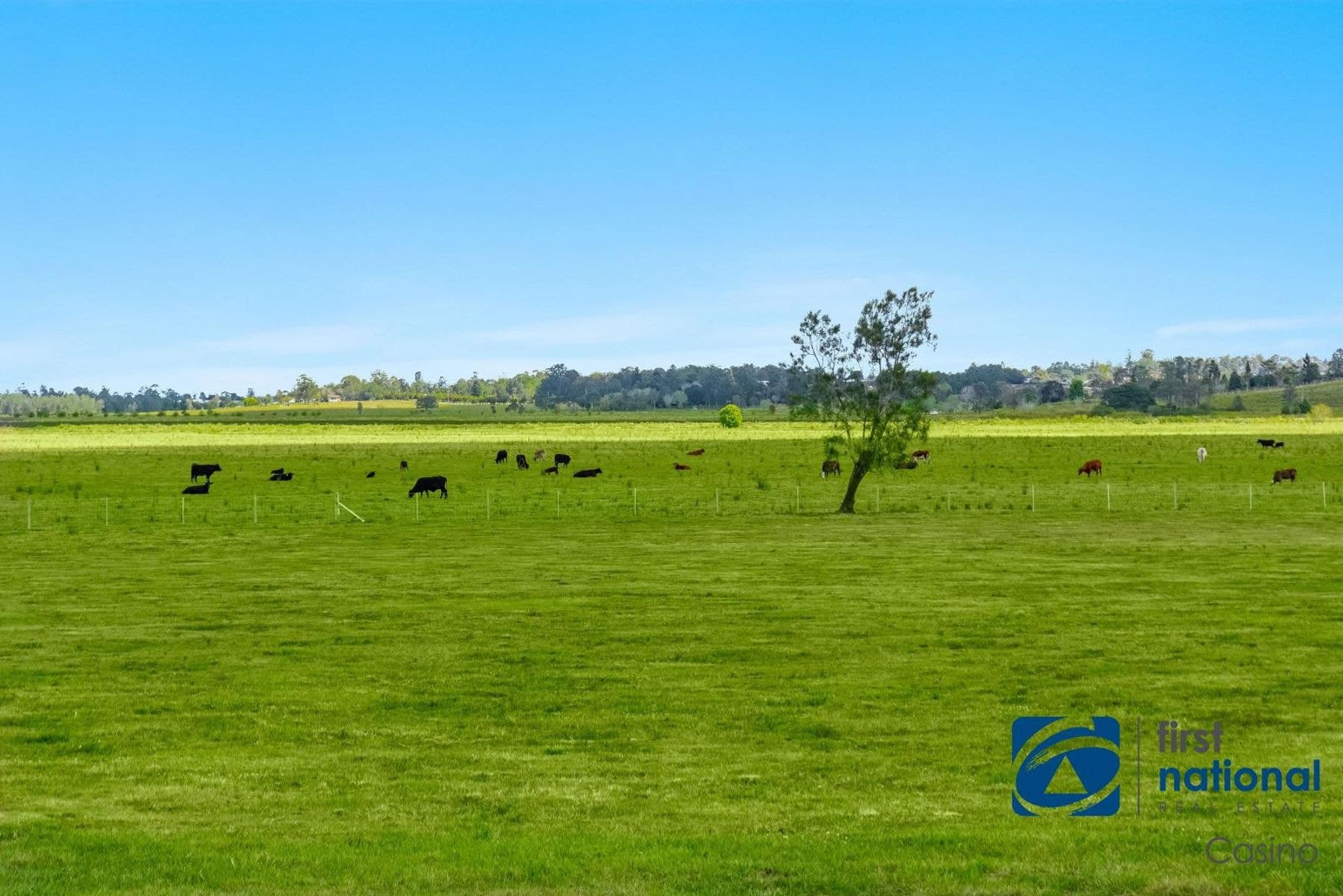 Lot 3, 63 Flatley Place, North Casino NSW 2470, North Casino - Thumbnail 4