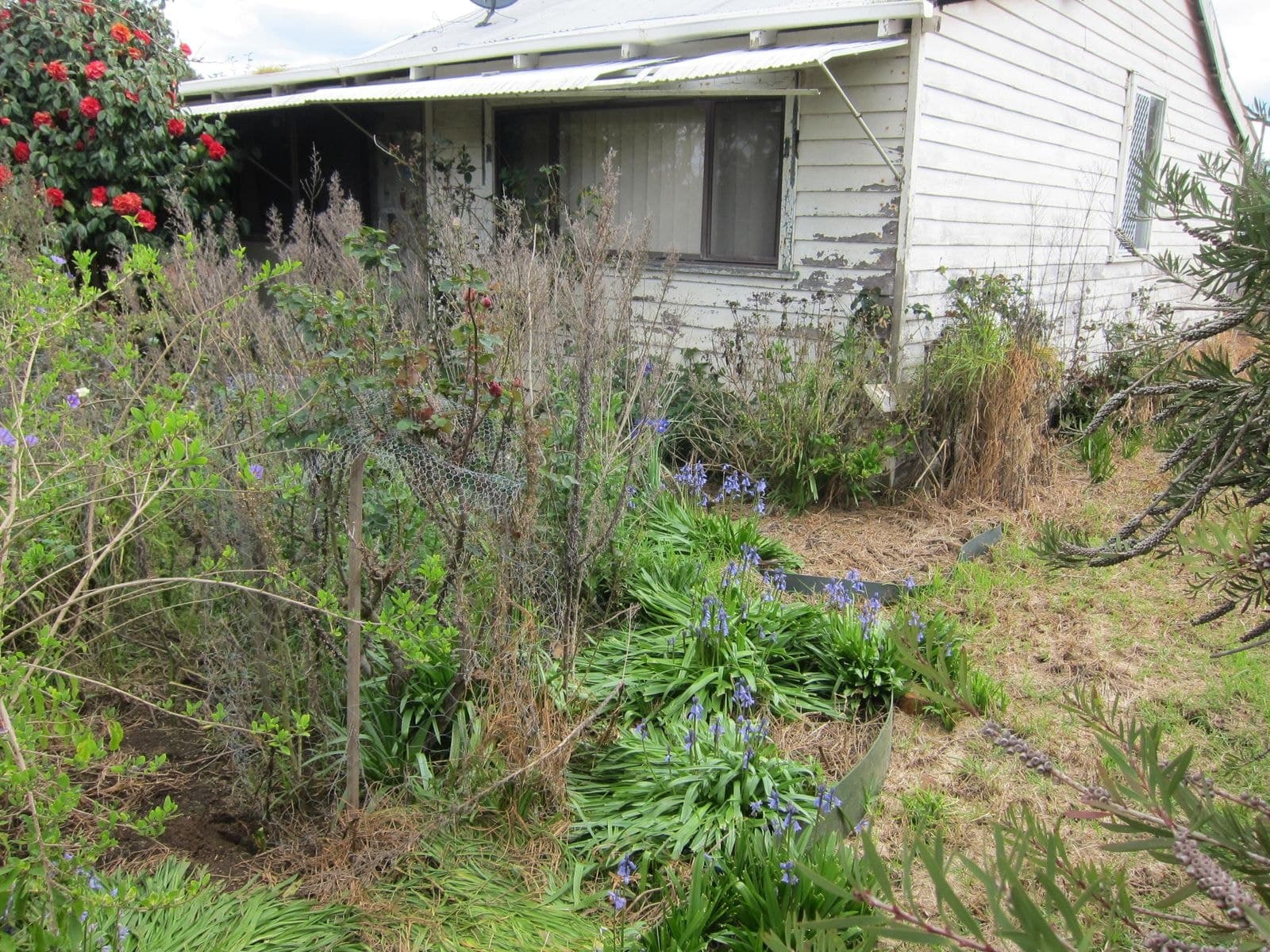 12506 Bussell Hwy, Karridale WA 6288, Karridale - Thumbnail 2