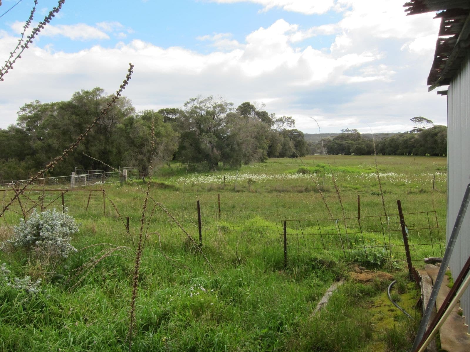 12506 Bussell Hwy, Karridale WA 6288, Karridale - Thumbnail 5