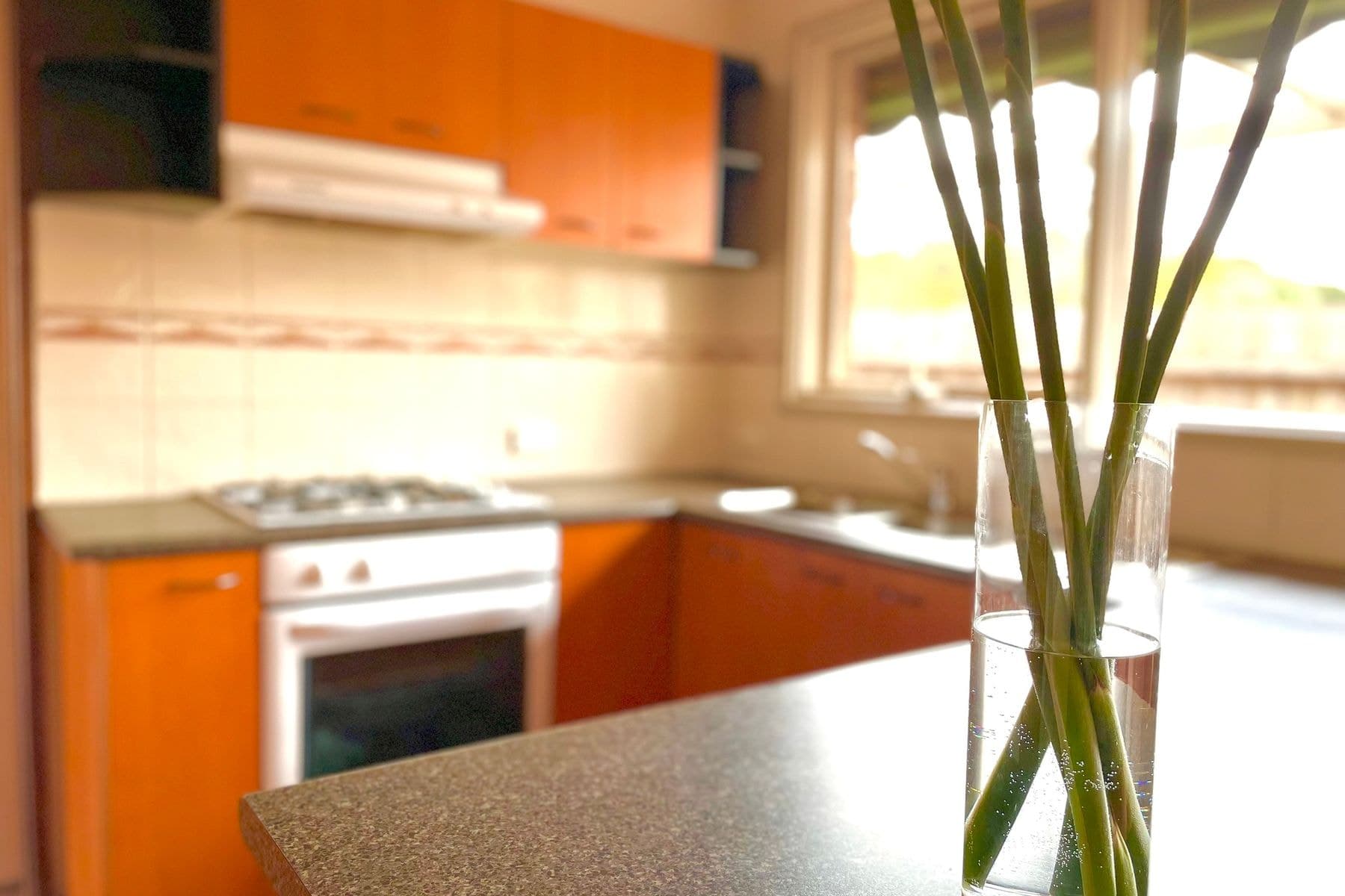 55 Rosina Drive, Melton VIC 3337, Melton - Thumbnail 2