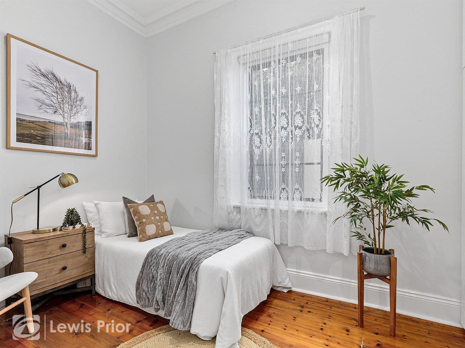 66 Downing Street, Hove SA 5048, Hove - Thumbnail 5