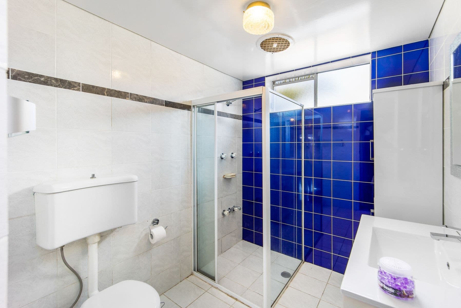 2 Gowrie Avenue, Punchbowl NSW 2196, Punchbowl - Thumbnail 7