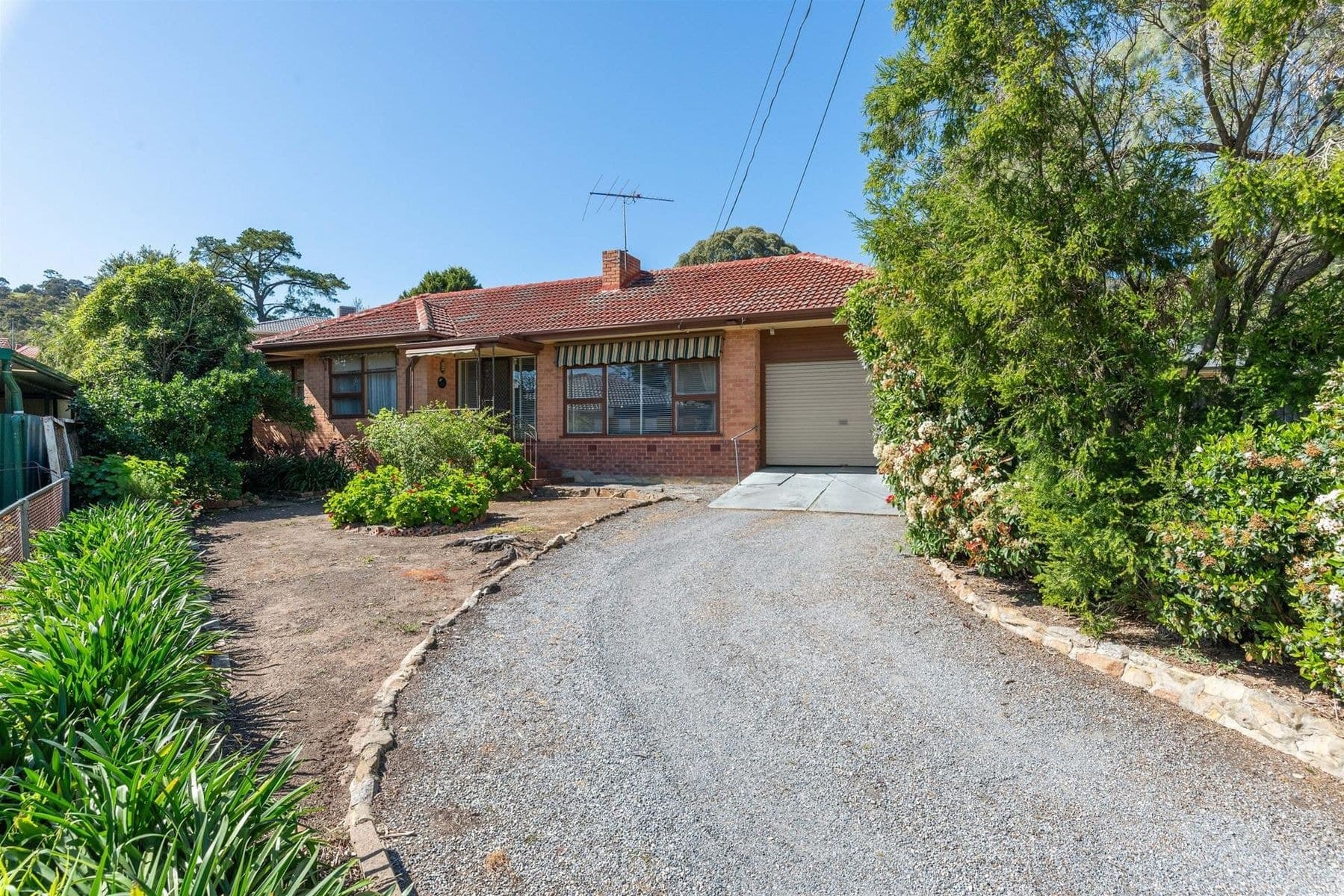 1 Bridget Street, Tea Tree Gully SA 5091, Tea Tree Gully - Image 1