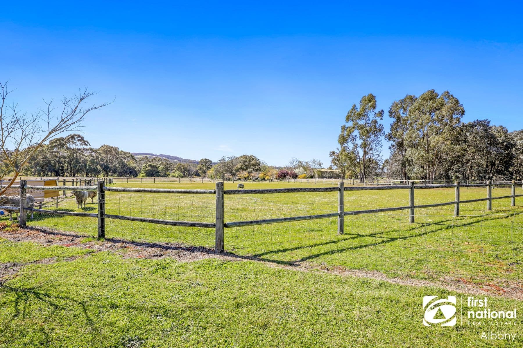 58 Martin Street, Mount Barker WA 6324, Mount Barker - Thumbnail 5