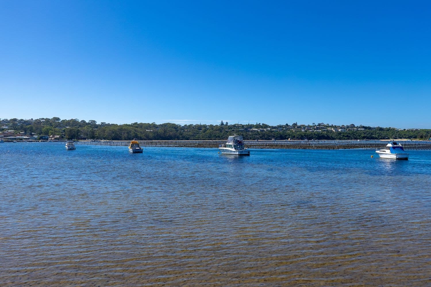 7 Market Street, Merimbula, NSW, Merimbula - Thumbnail 6