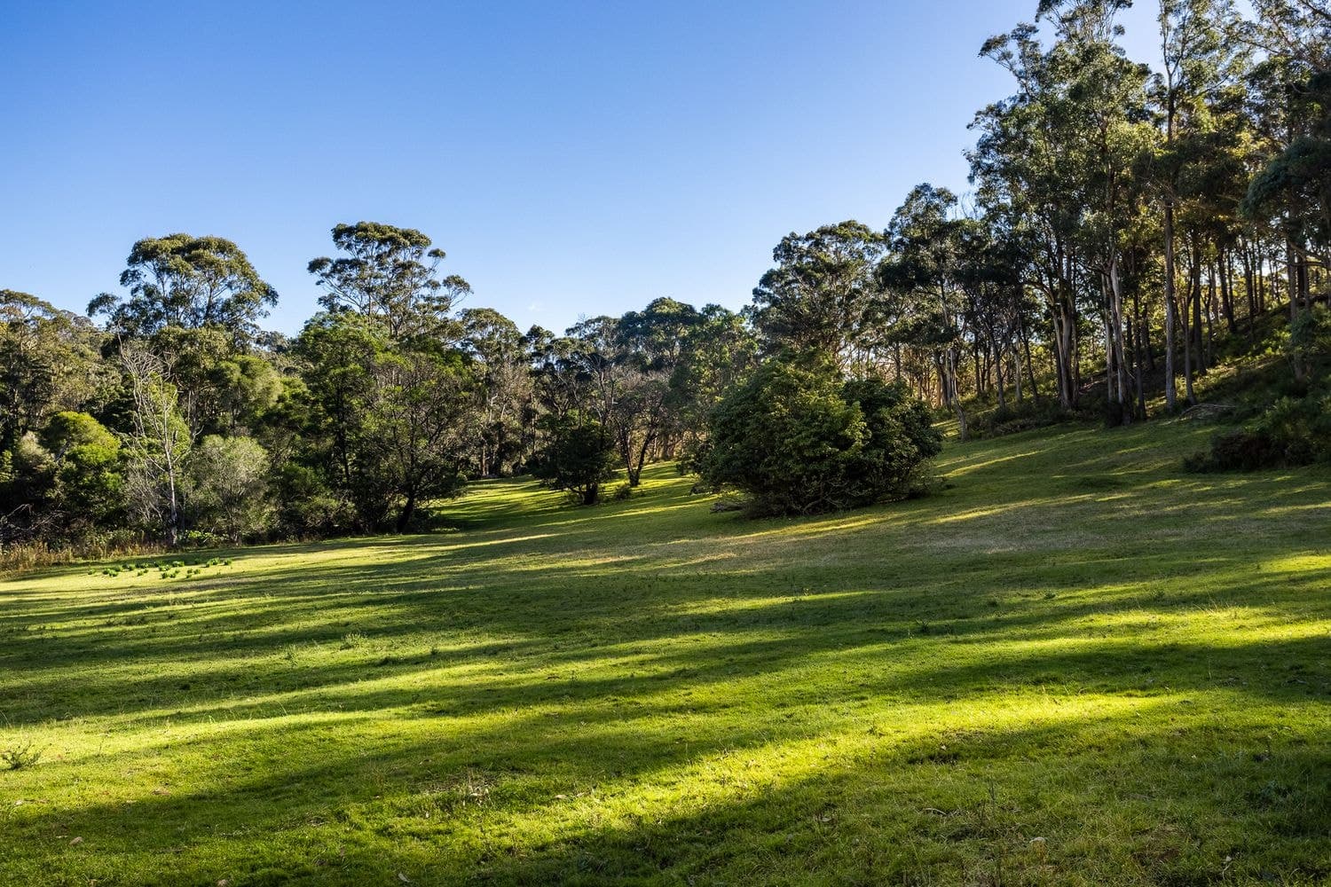 Lot 211 Sapphire Coast Drive, Merimbula, NSW, Merimbula - Thumbnail 6