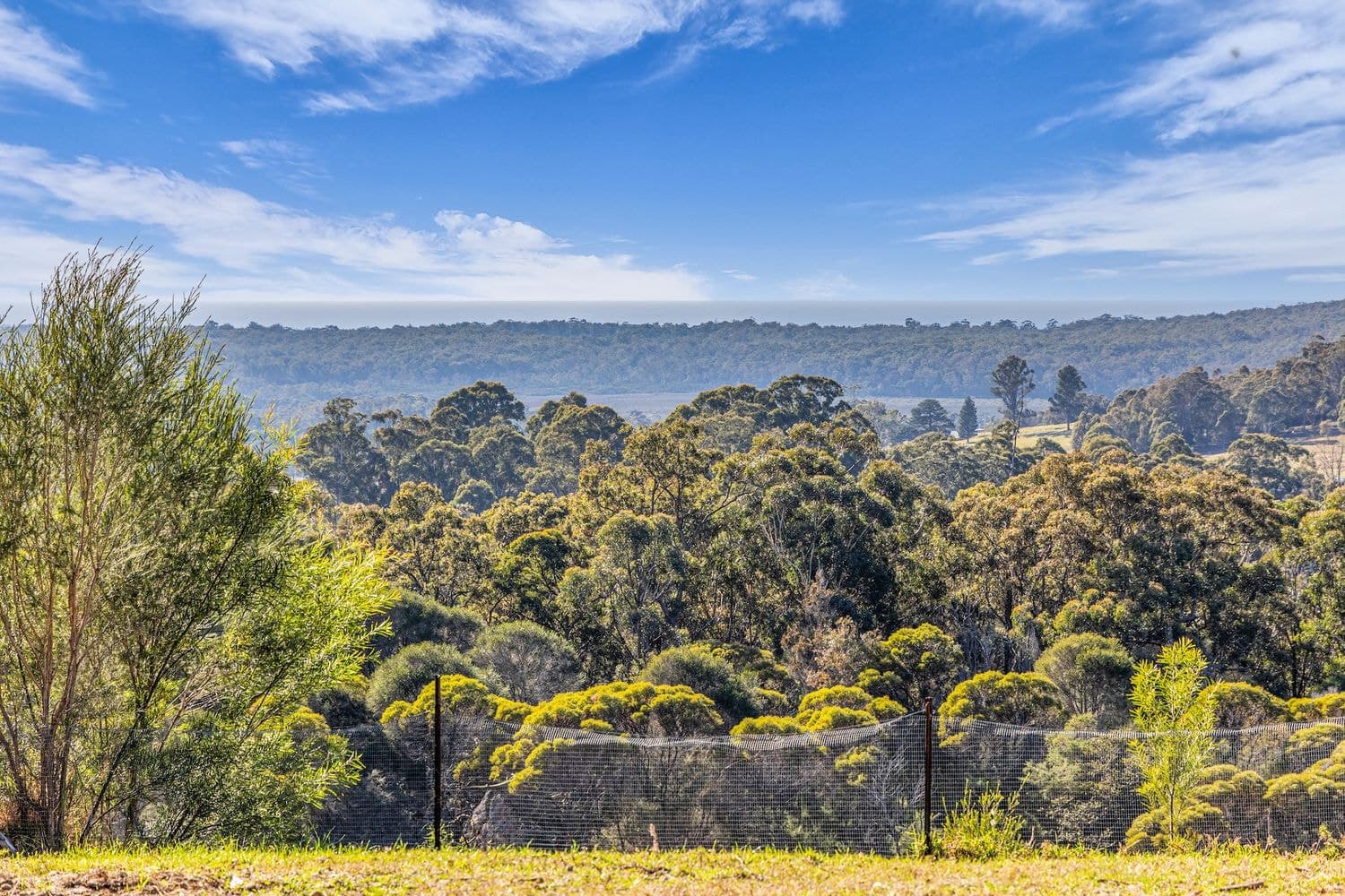 Lot 712 SummerHill Road, Greigs Flat, NSW, Greigs Flat - Thumbnail 6