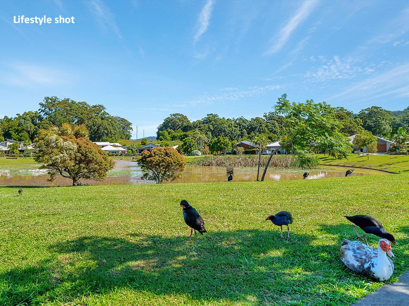Lot 620 Carey Way, Coffs Harbour NSW 2450, Coffs Harbour - Thumbnail 6