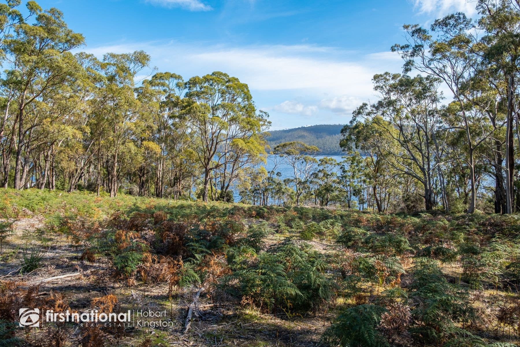 Lot 1/225 Nebraska Road, North Bruny TAS 7150, North Bruny - Thumbnail 5
