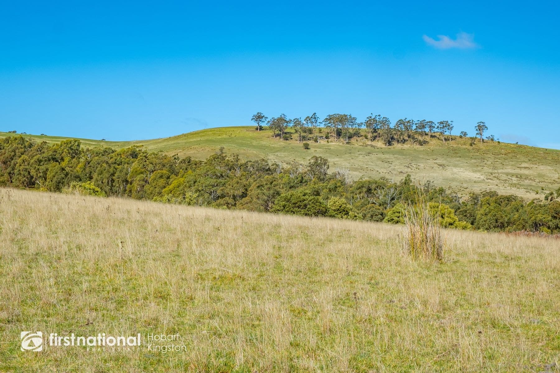 Lot 1/225 Nebraska Road, North Bruny TAS 7150, North Bruny - Thumbnail 8