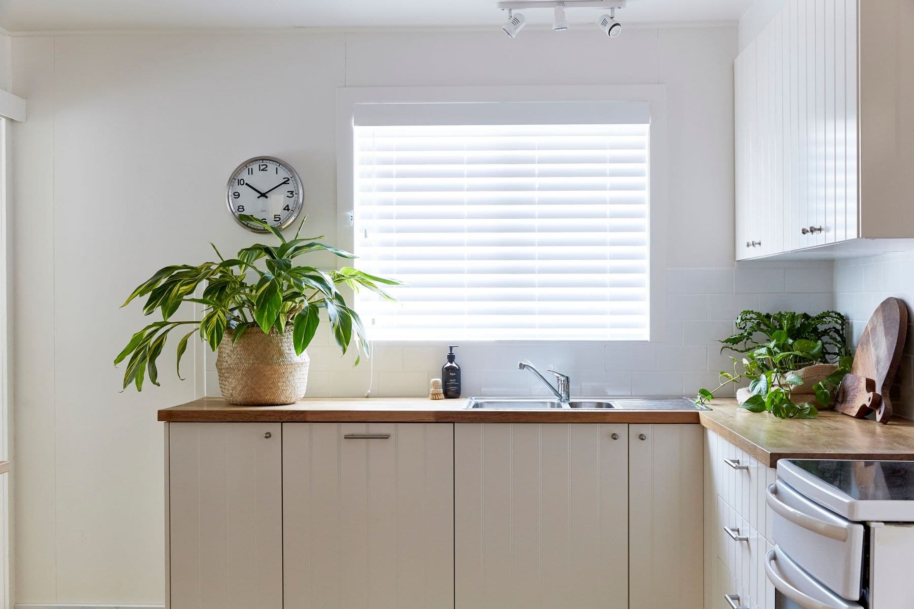 105 Paterson Street, Byron Bay NSW 2481, Byron Bay - Thumbnail 7
