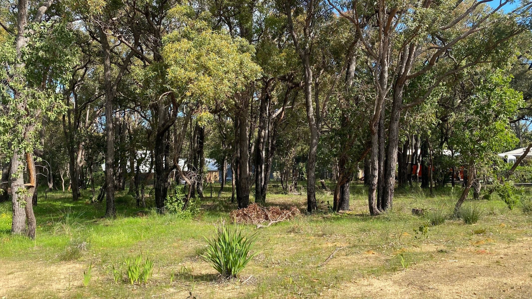 34 Russell Drive, Waroona WA 6215, Waroona - Image 1