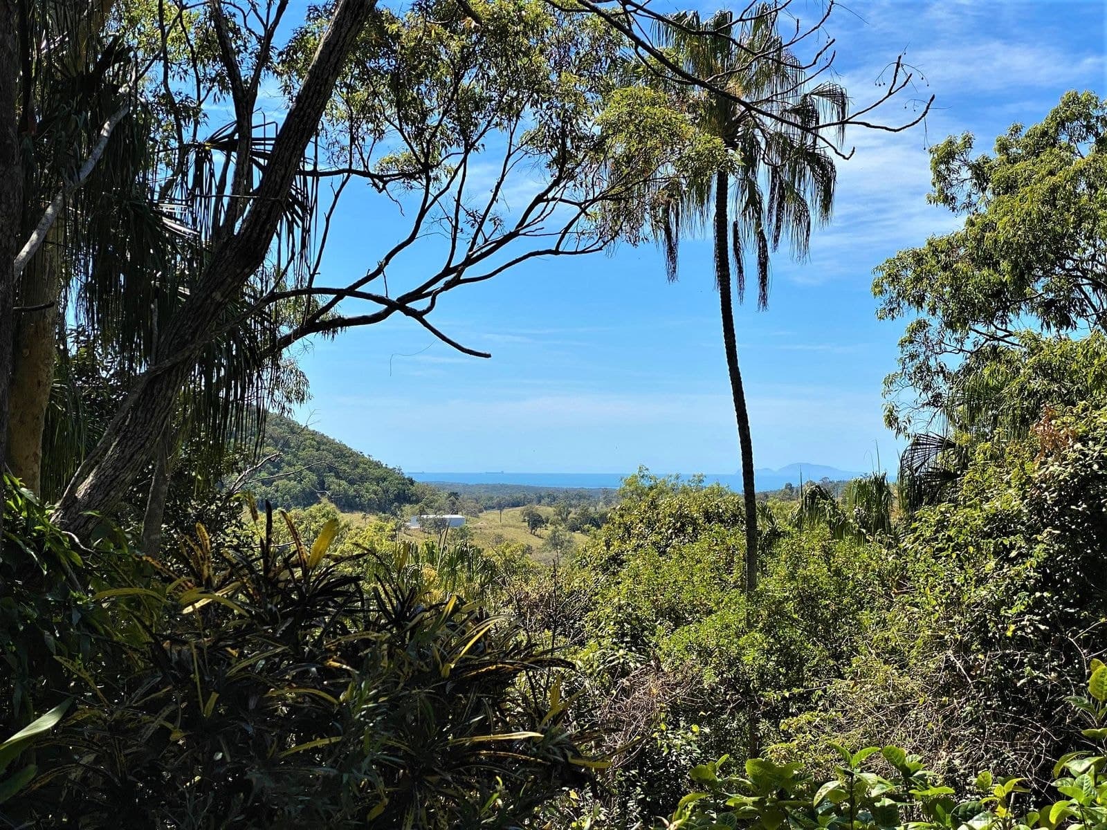 81 Starrs Road, Sarina QLD 4737, Sarina - Thumbnail 3