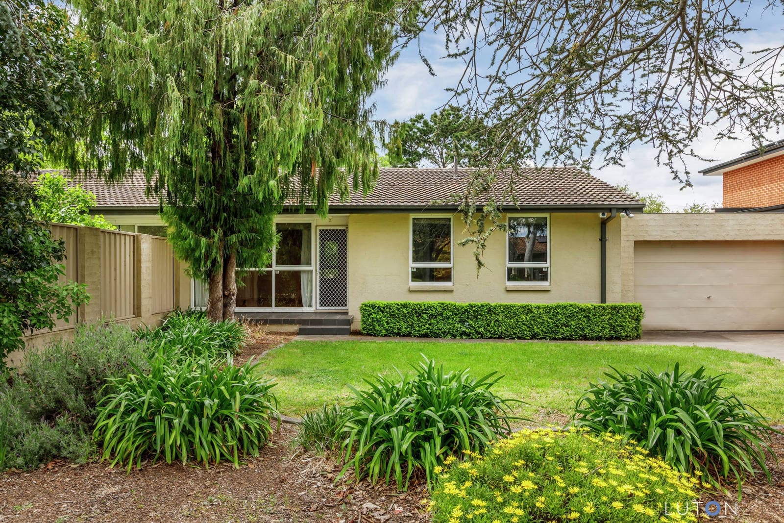 75 Matina Street, Narrabundah ACT 2604, Narrabundah - Image 1