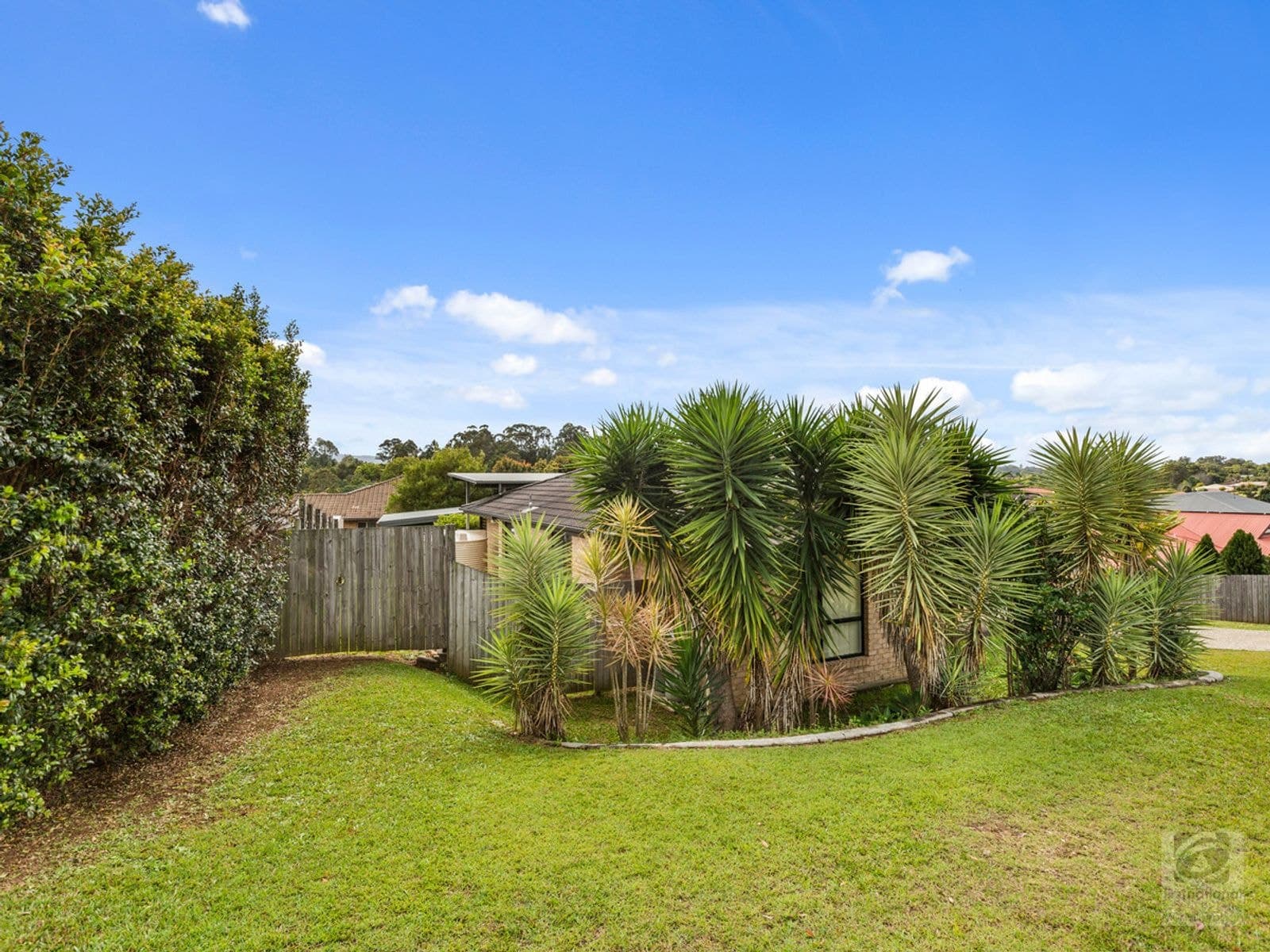16 Oakbank Terrace, Murwillumbah NSW 2484, Murwillumbah - Thumbnail 6