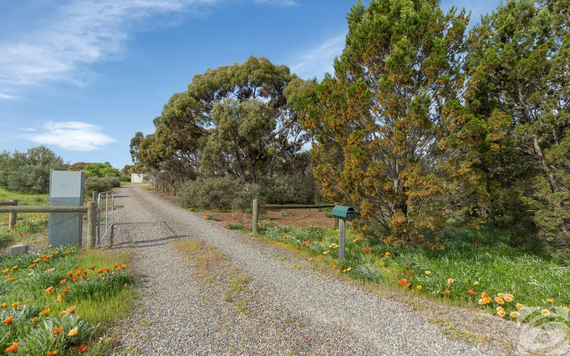 37 Salem Road, Kudla, SA 5115, Kudla - Thumbnail 3