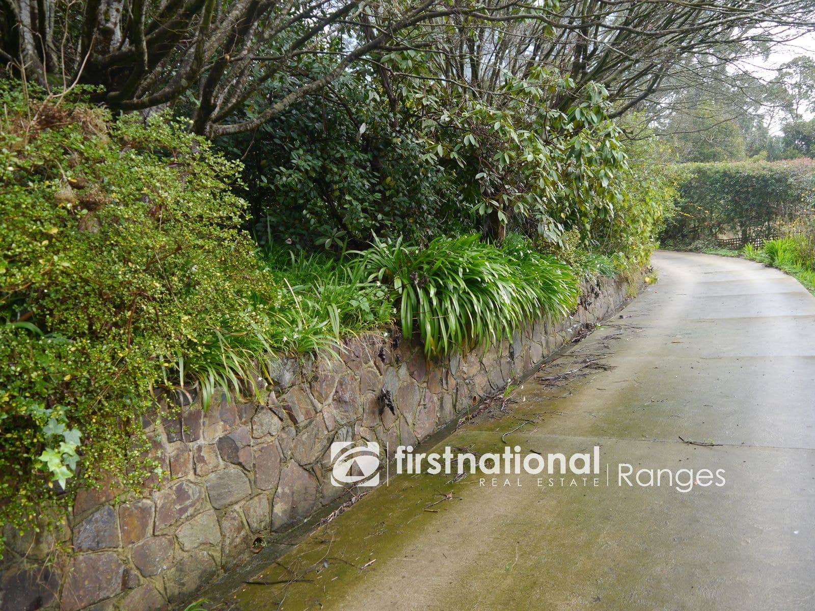 10 Rivington Avenue, Kallista VIC 3791, Kallista - Thumbnail 4