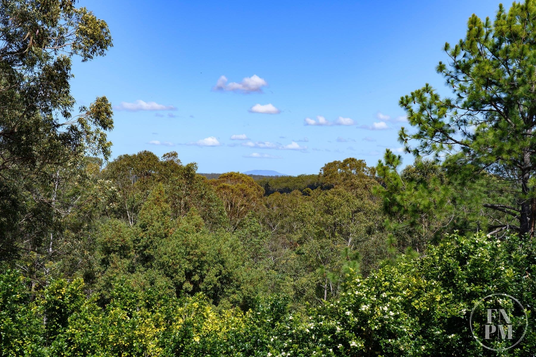 182 Rollands Plains Road, Telegraph Point NSW 2441, Telegraph Point - Thumbnail 5
