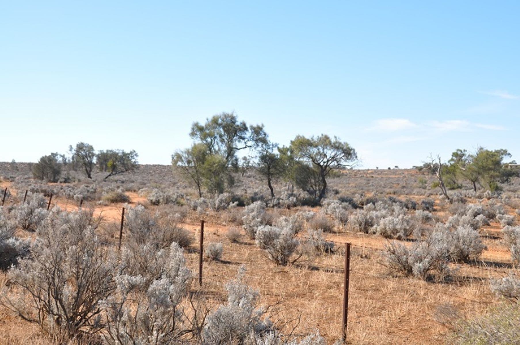 Lot 364 Ring Road, Morgan SA 5320, Morgan - Image 1