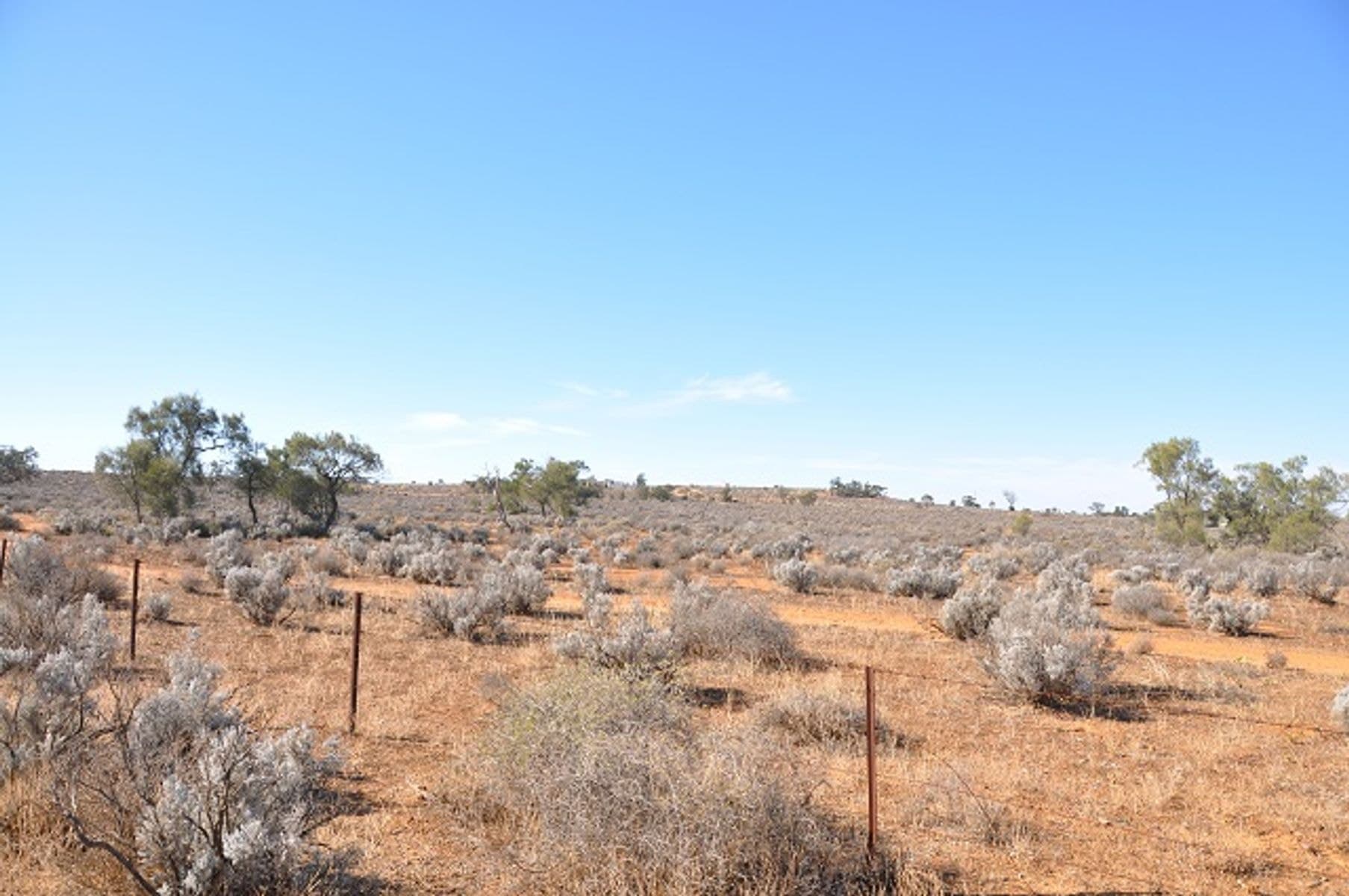 Lot 364 Ring Road, Morgan SA 5320, Morgan - Thumbnail 2