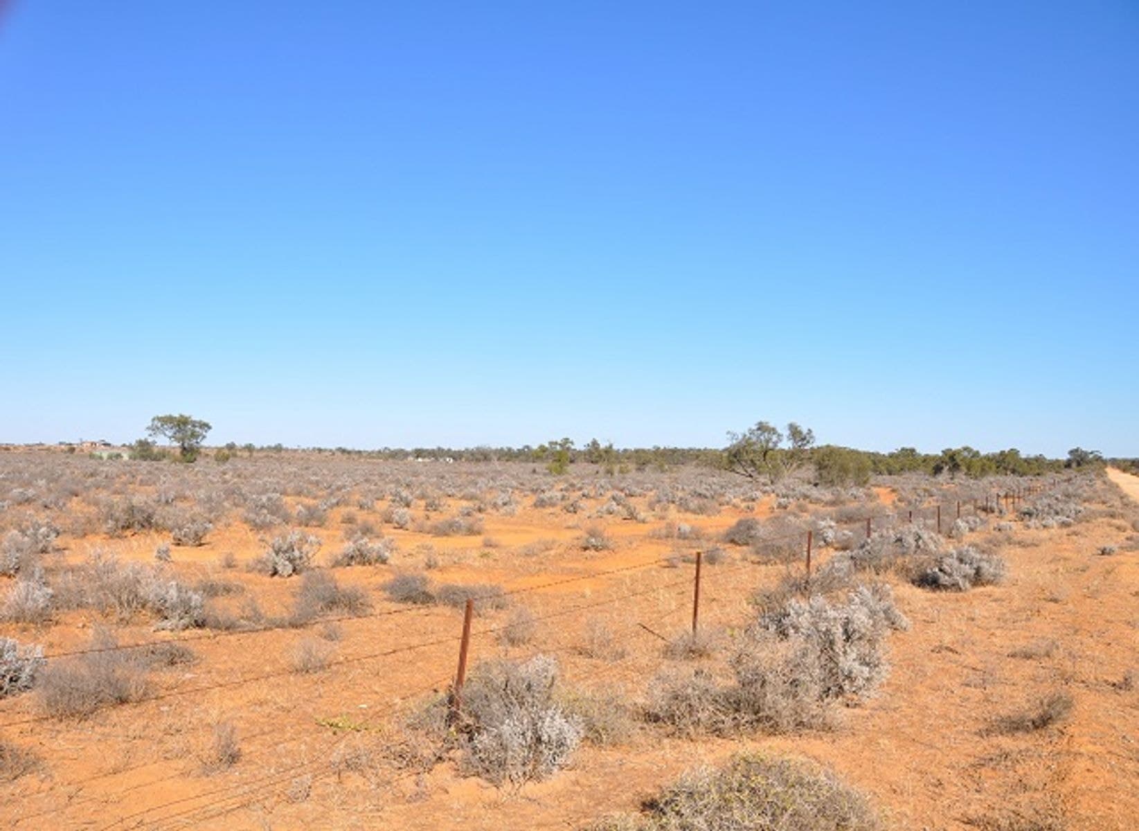 Lot 364 Ring Road, Morgan SA 5320, Morgan - Thumbnail 3