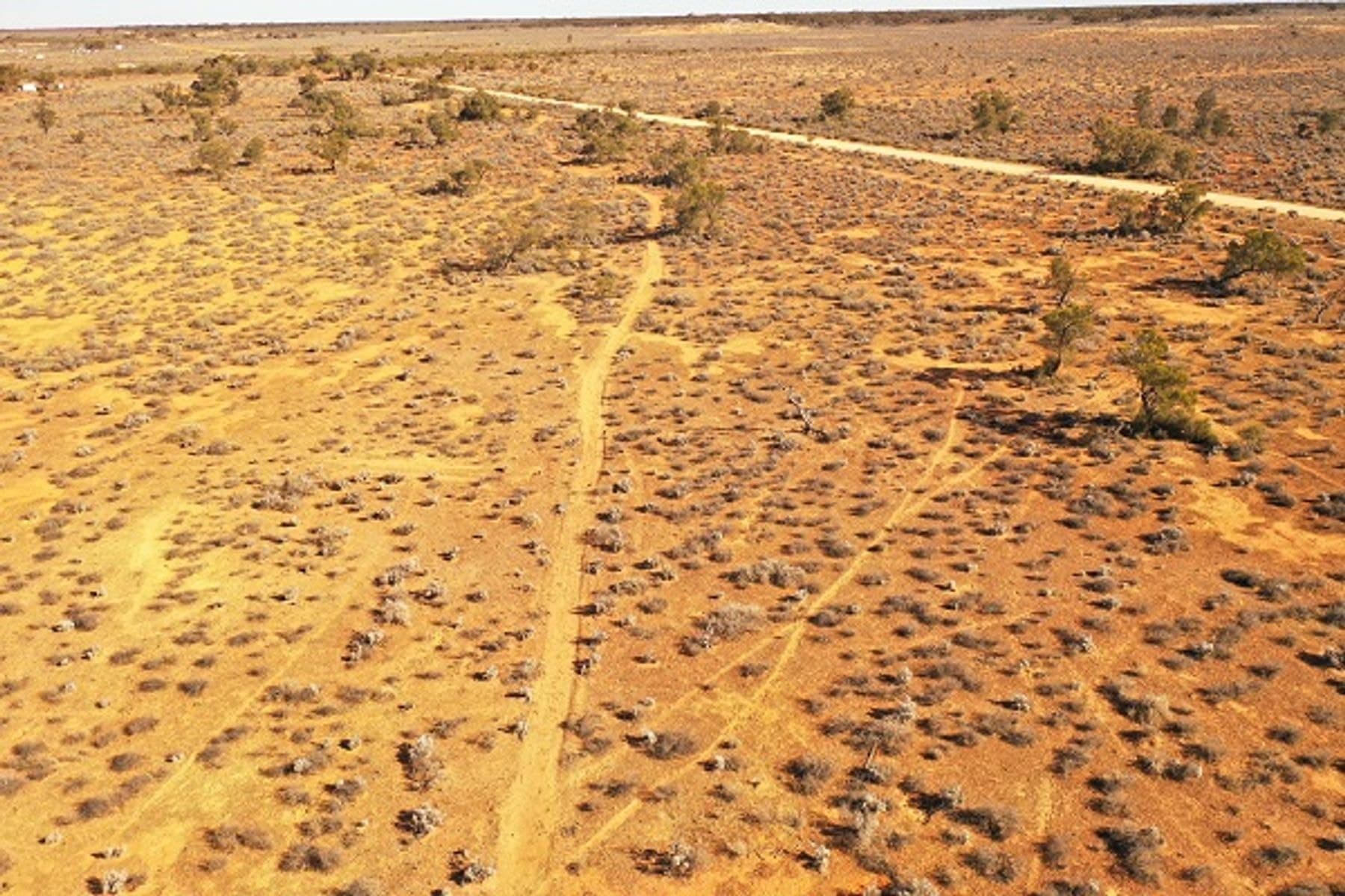 Lot 364 Ring Road, Morgan SA 5320, Morgan - Thumbnail 4