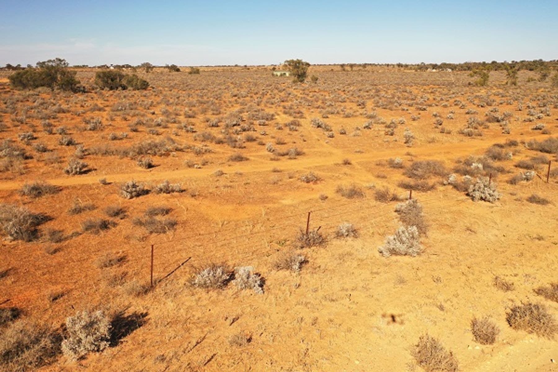 Lot 364 Ring Road, Morgan SA 5320, Morgan - Thumbnail 5