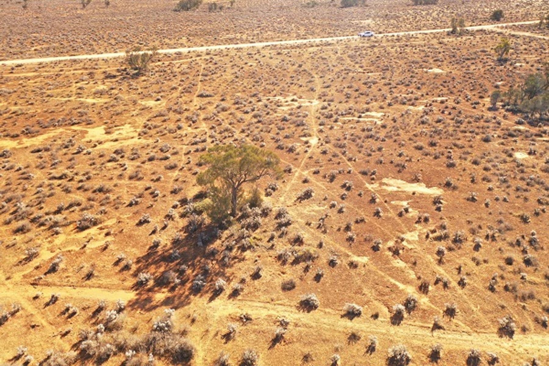 Lot 364 Ring Road, Morgan SA 5320, Morgan - Thumbnail 6