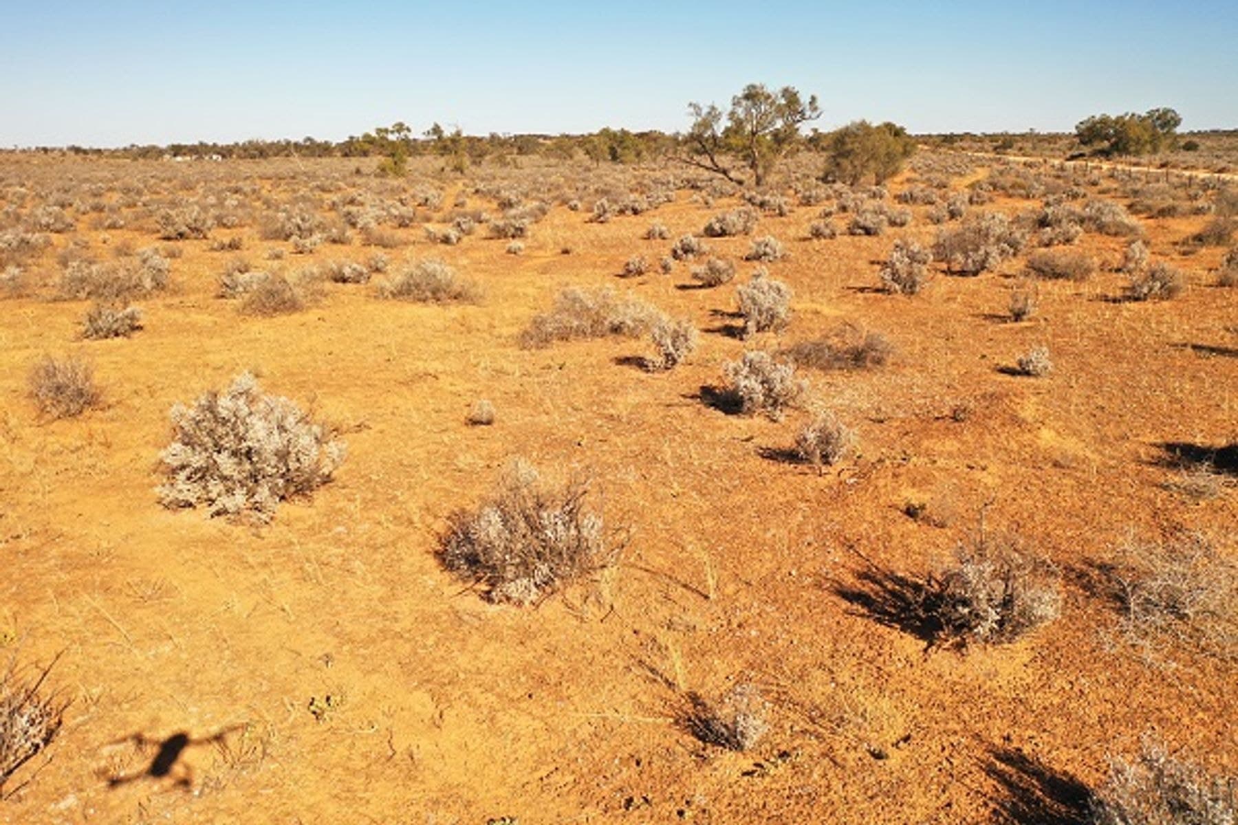 Lot 364 Ring Road, Morgan SA 5320, Morgan - Thumbnail 7