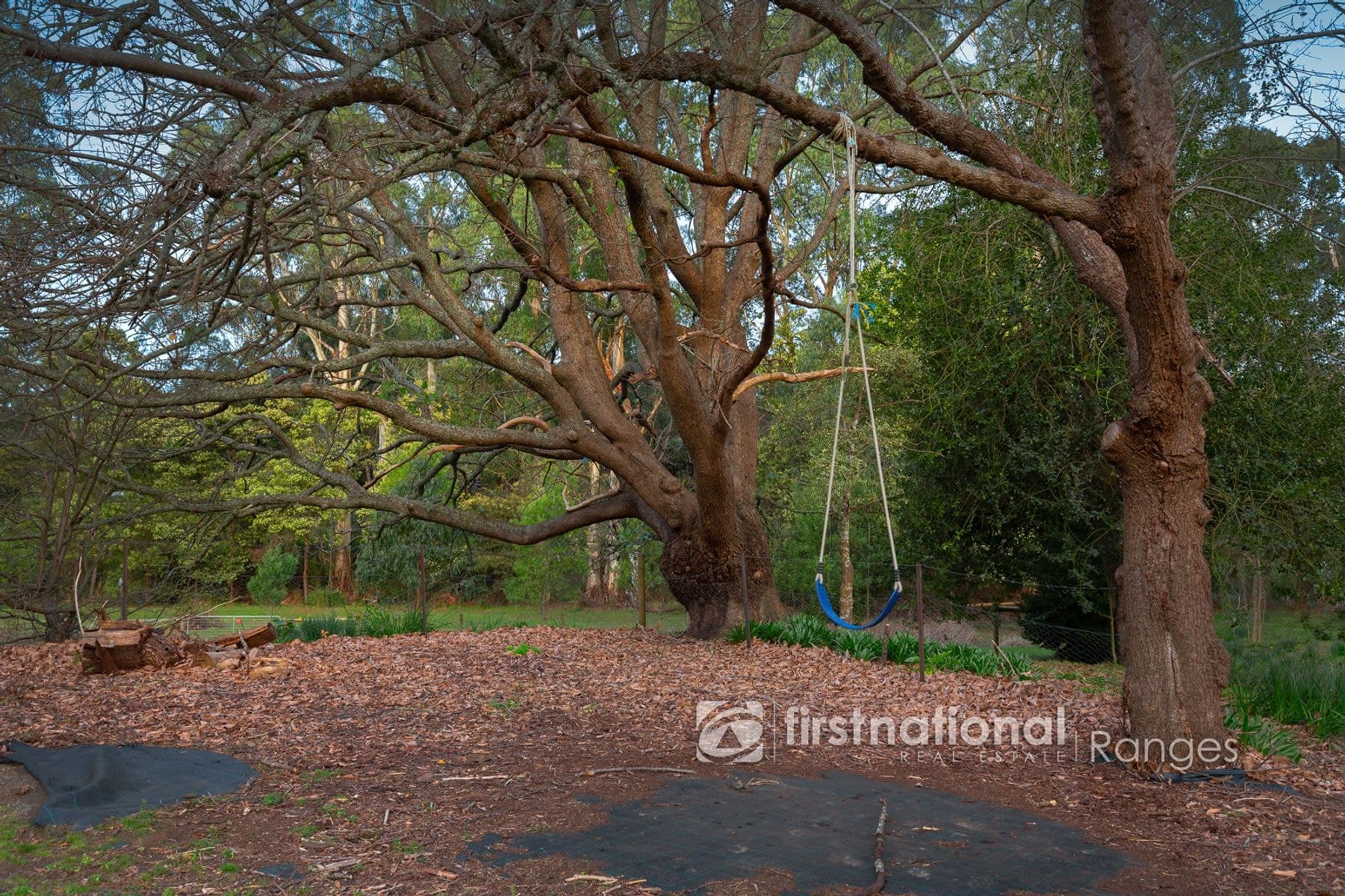 345 Macclesfield Road, Monbulk, VIC 3793, Monbulk - Thumbnail 4