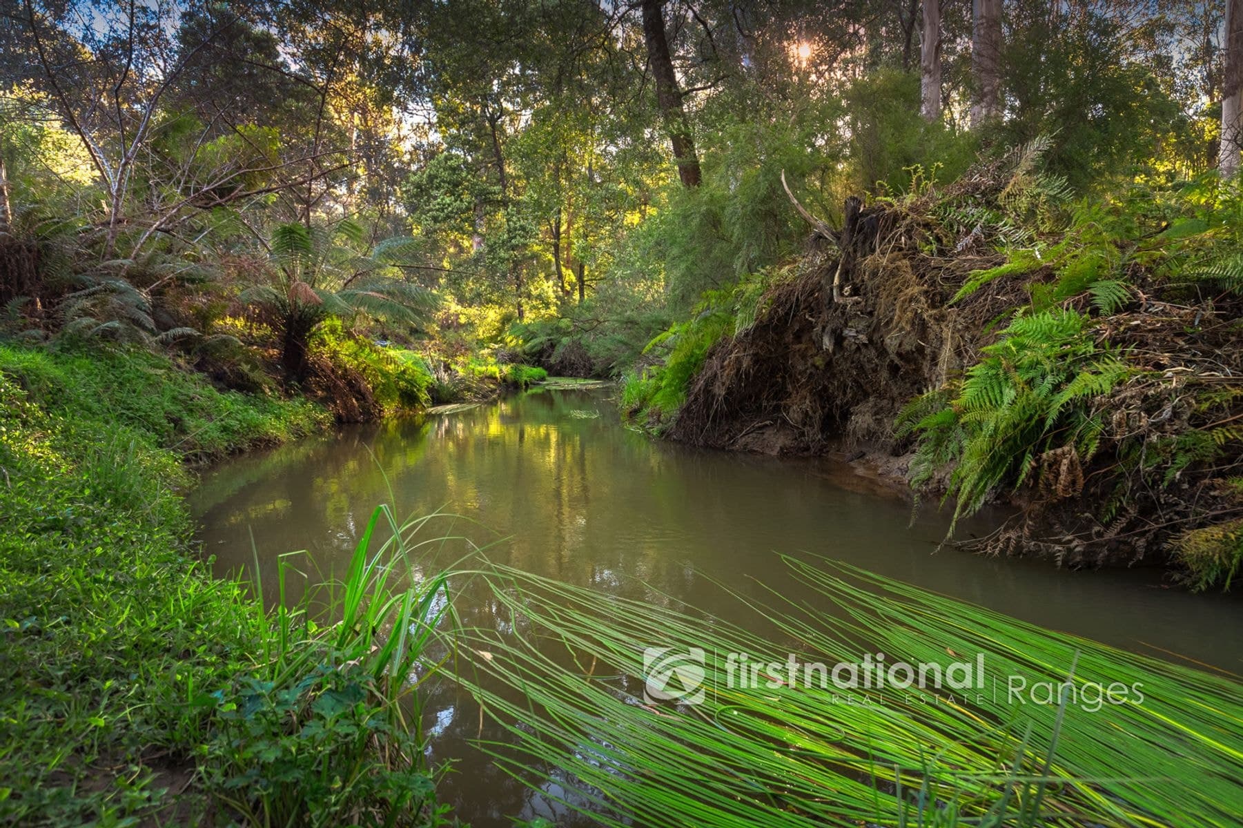 345 Macclesfield Road, Monbulk, VIC 3793, Monbulk - Thumbnail 6