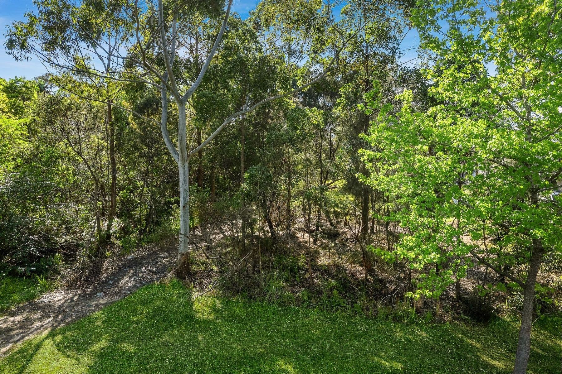 70A Kens Road, Frenchs Forest NSW 2086, Frenchs Forest - Thumbnail 3