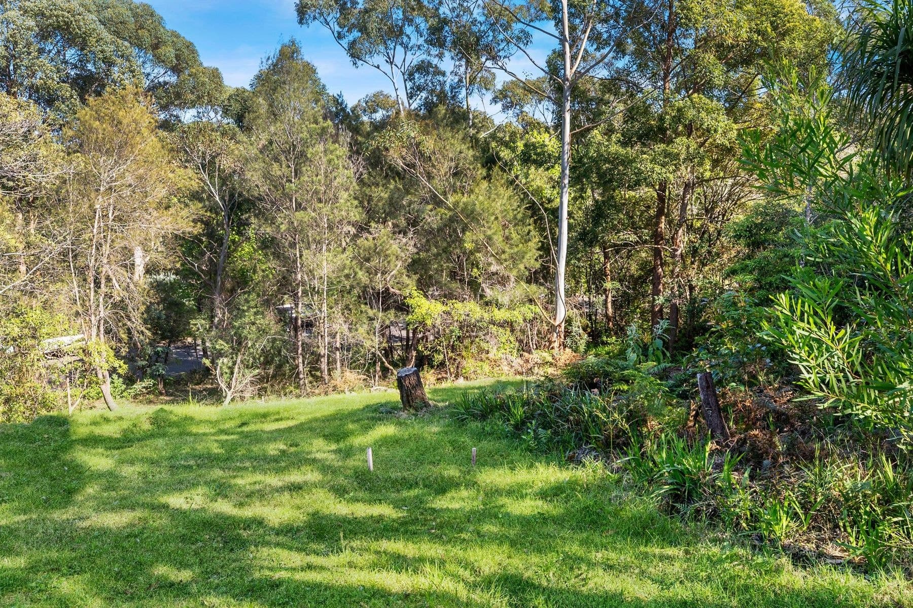70A Kens Road, Frenchs Forest NSW 2086, Frenchs Forest - Thumbnail 6