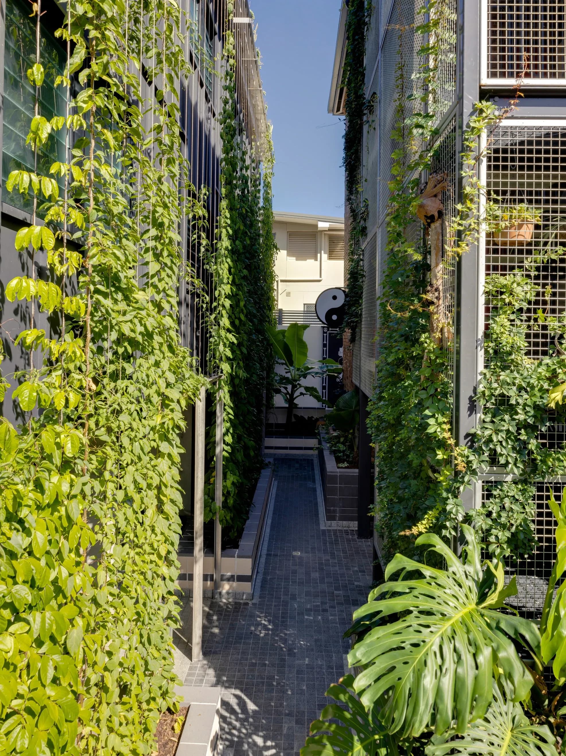 8/52 Brighton Road, Highgate Hill QLD 4101, Highgate Hill - Thumbnail 3
