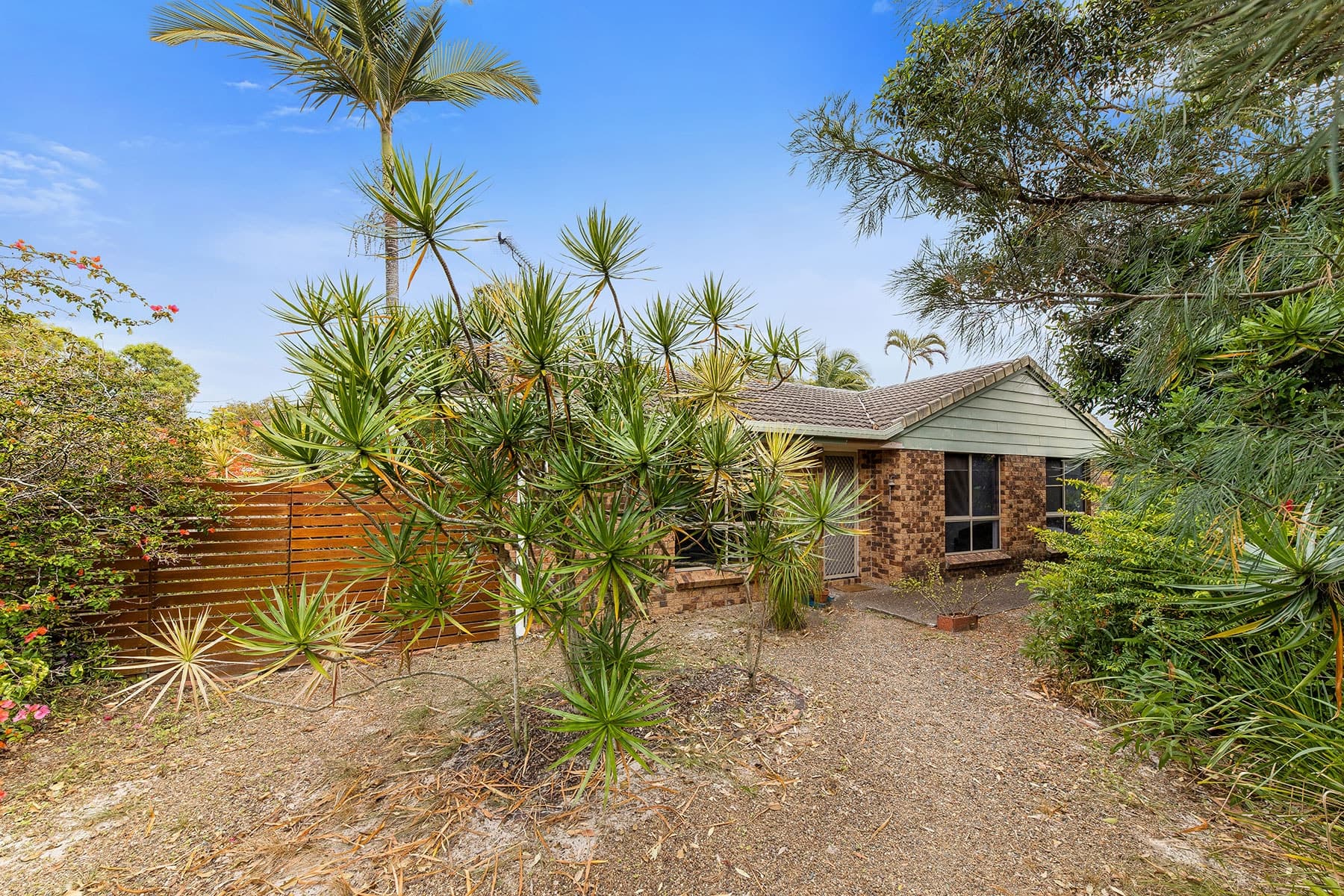 25 Tarina Street, Noosa Heads, Noosa Heads - Thumbnail 3