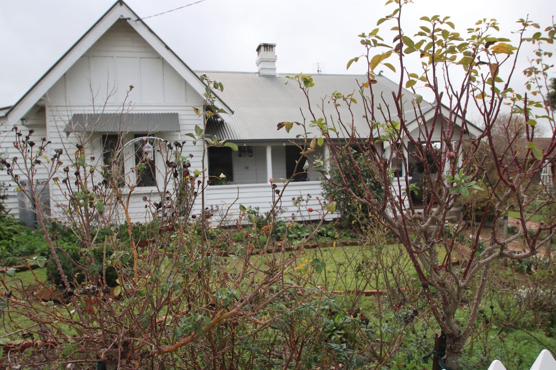 70 Molesworth Street, Tenterfield NSW 2372, Tenterfield - Thumbnail 2
