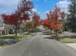 14 Viewhill Road Balwyn North VIC 3104, Balwyn North - Thumbnail 4