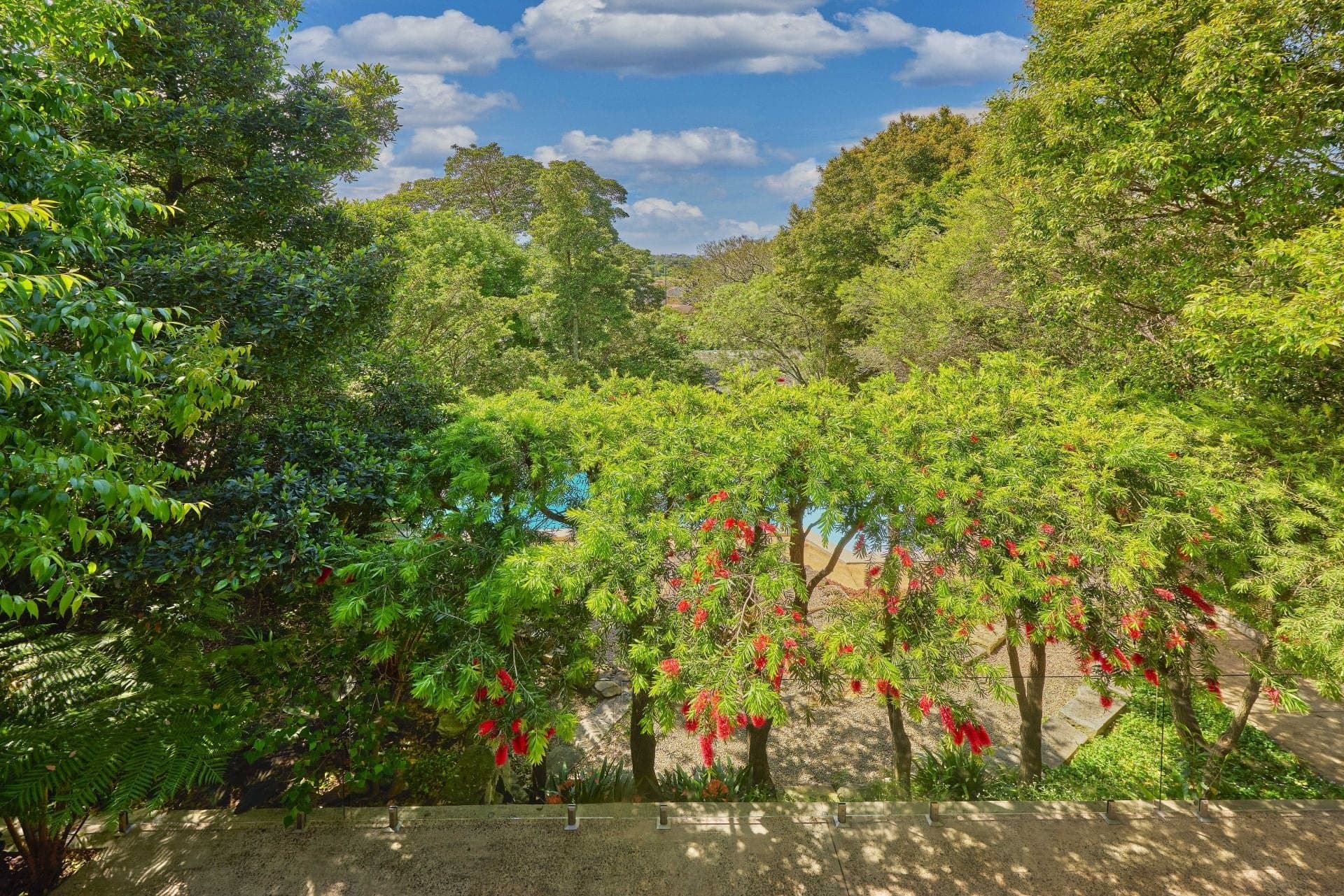 10 Hocking Avenue Earlwood NSW, Earlwood - Thumbnail 7