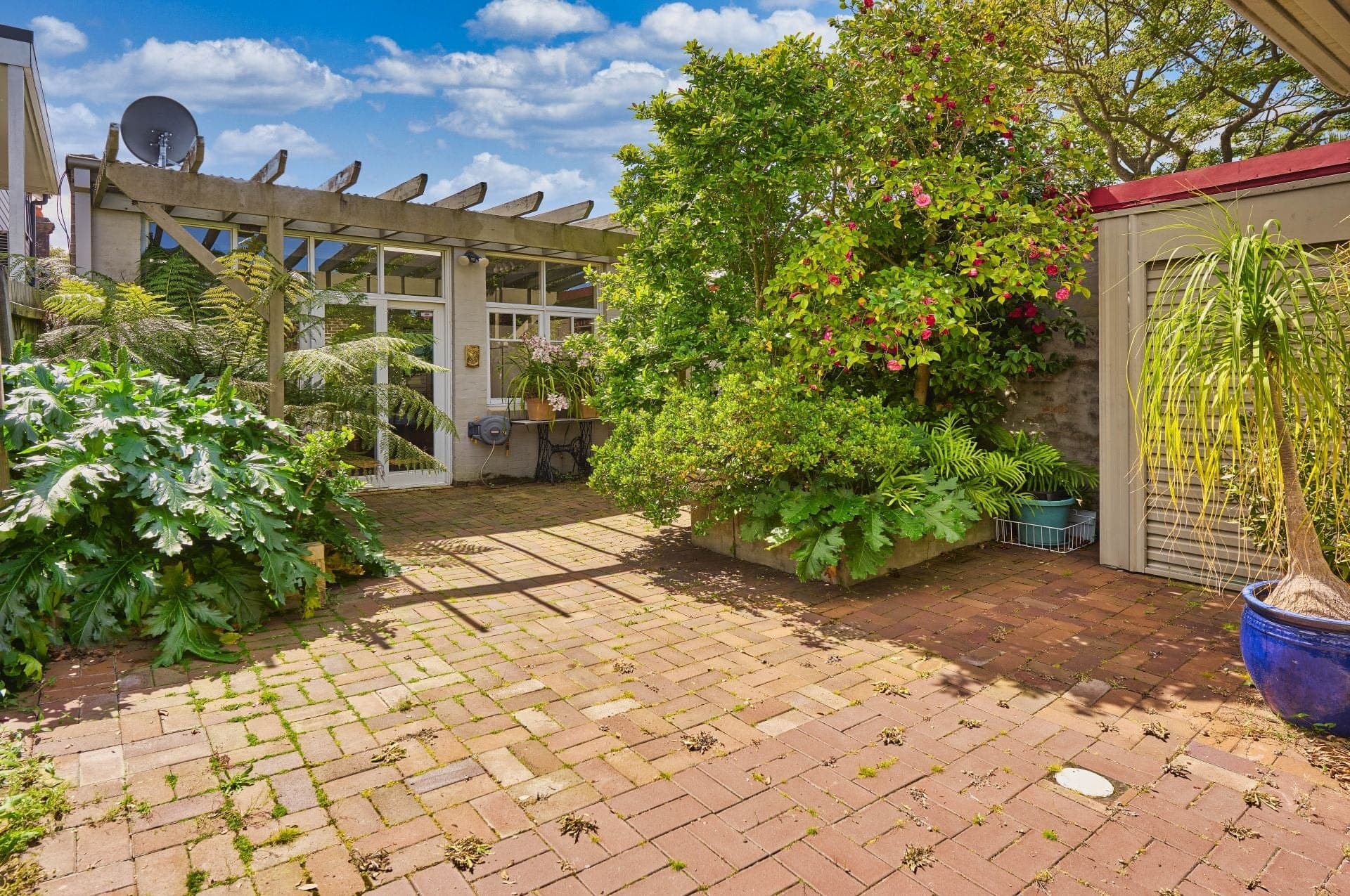 14 Annesley Street Leichhardt NSW, Leichhardt - Thumbnail 7