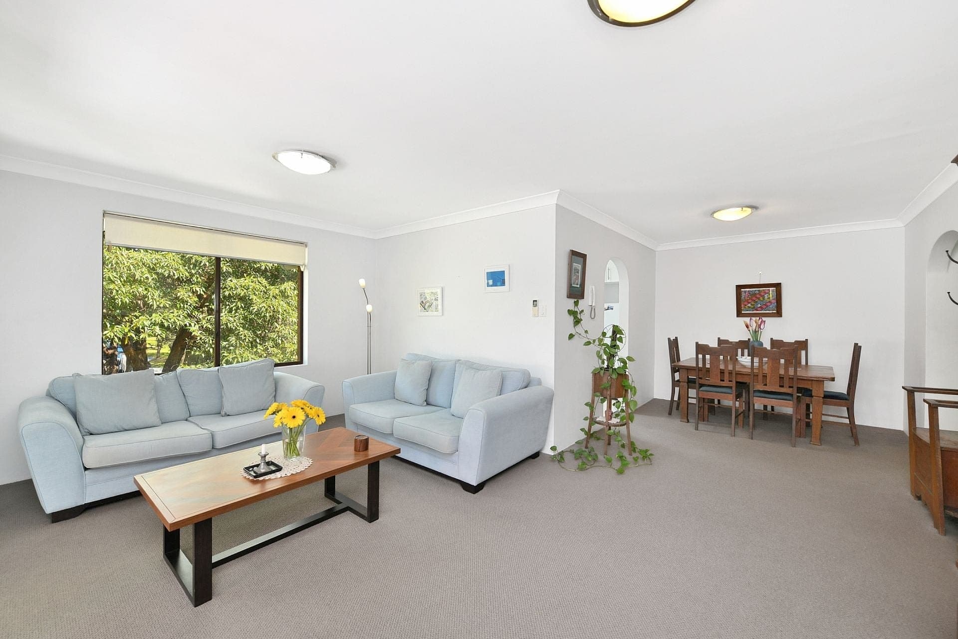 11/15-17 Albert Parade Ashfield NSW, Ashfield - Thumbnail 4