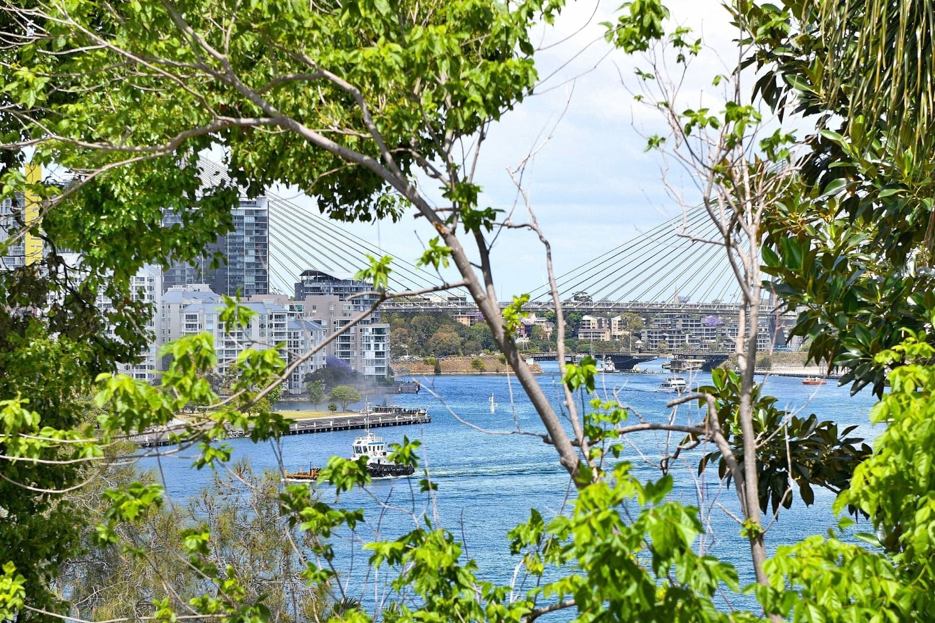 26/2 Pearson Street Balmain East NSW, Balmain East - Thumbnail 5