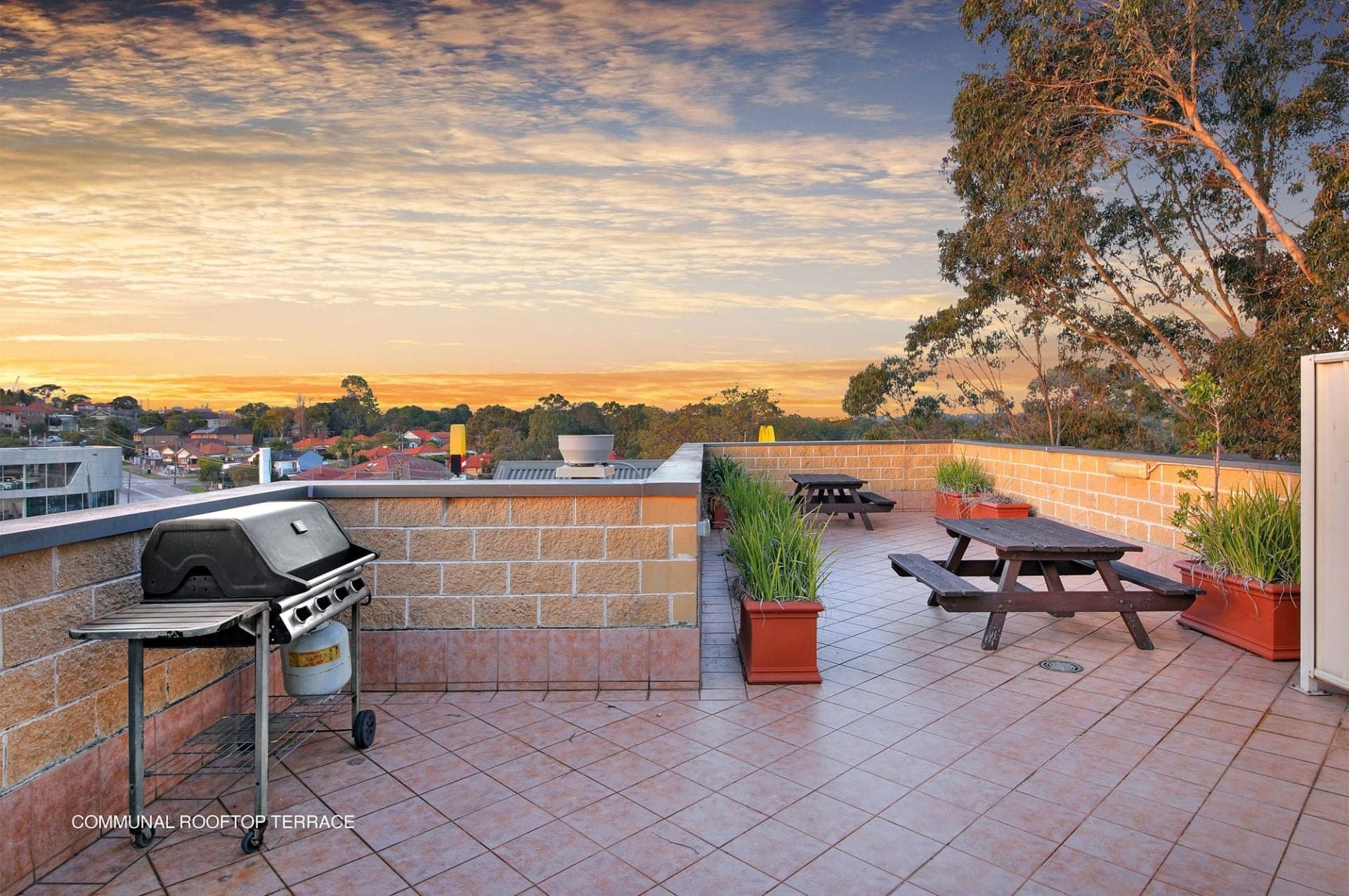 37/12 West Street Croydon NSW, Croydon - Thumbnail 6