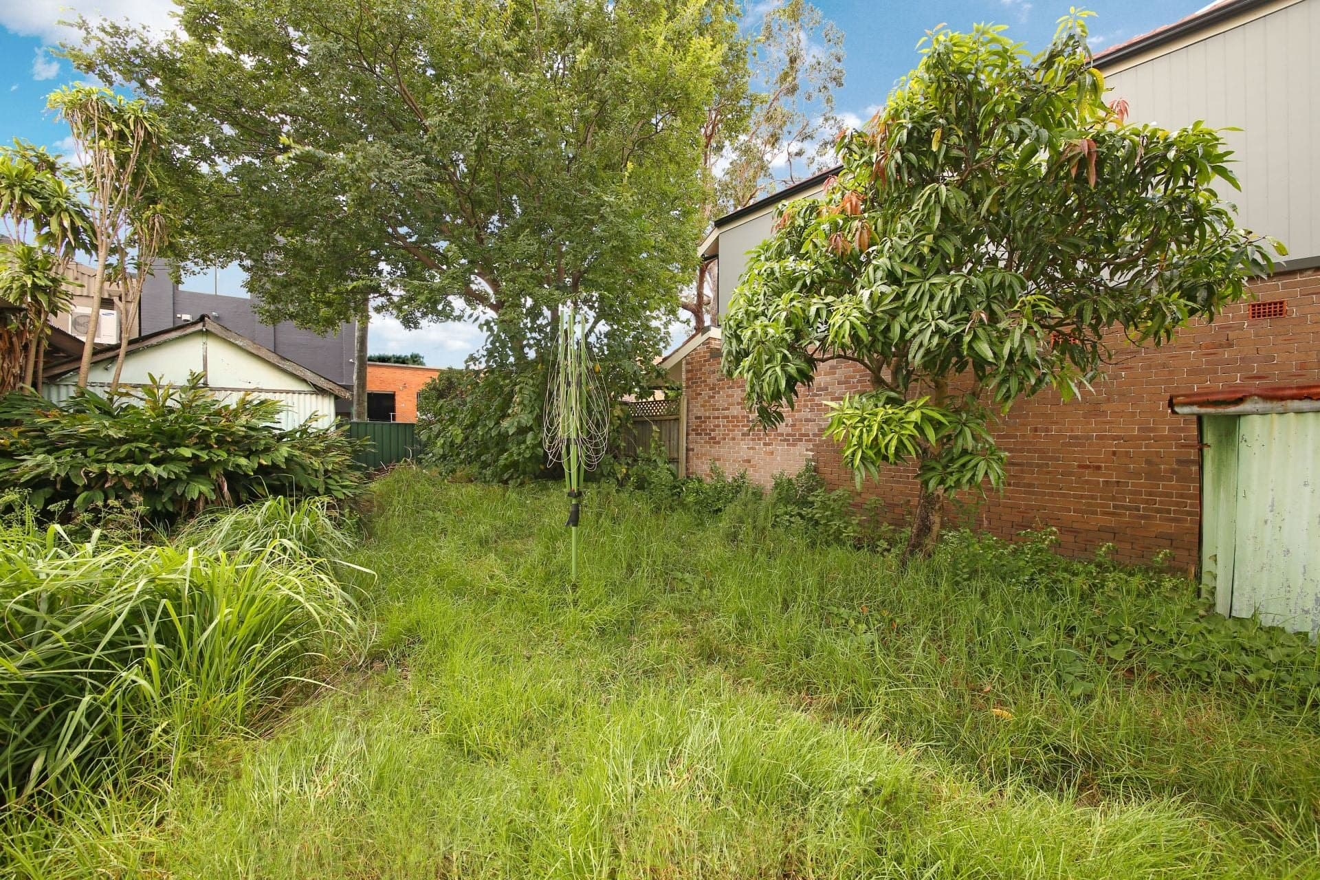 14 Corunna Road Stanmore NSW, Stanmore - Thumbnail 4