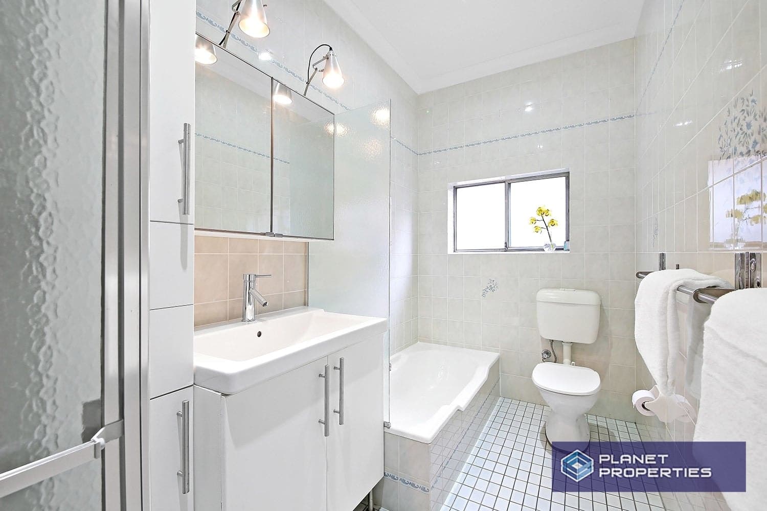 31 Goodlet Street ASHBURY NSW, Ashbury - Thumbnail 8