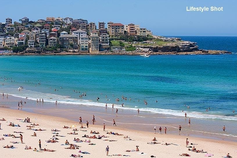 69 Avoca  Street, Bondi, Bondi - Thumbnail 4