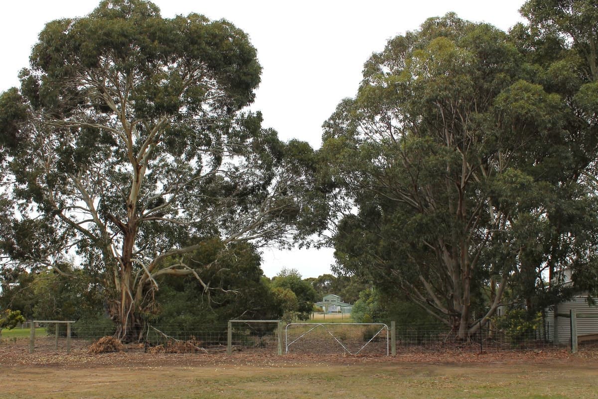 47 Seventh Avenue, Kendenup WA 6323, Kendenup - Image 1