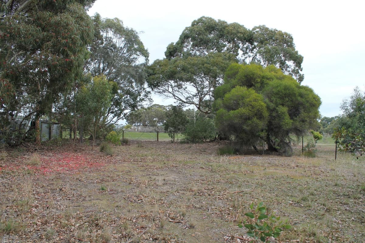 47 Seventh Avenue, Kendenup WA 6323, Kendenup - Thumbnail 8
