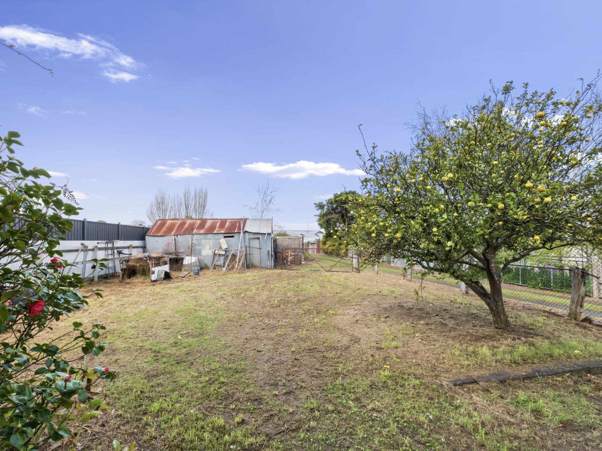38 Hart Street Colac VIC, Colac - Thumbnail 3