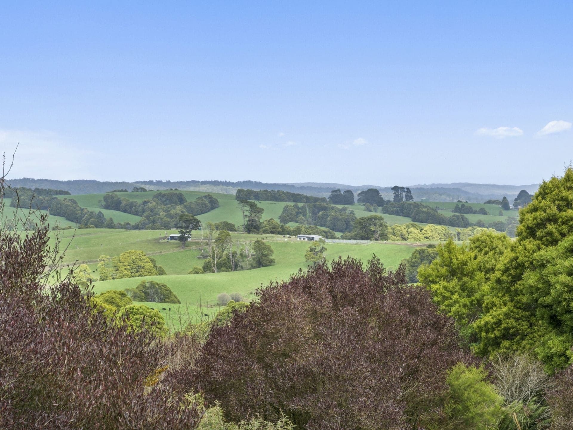 17 Gardner Street Beech Forest VIC, Beech Forest - Thumbnail 2